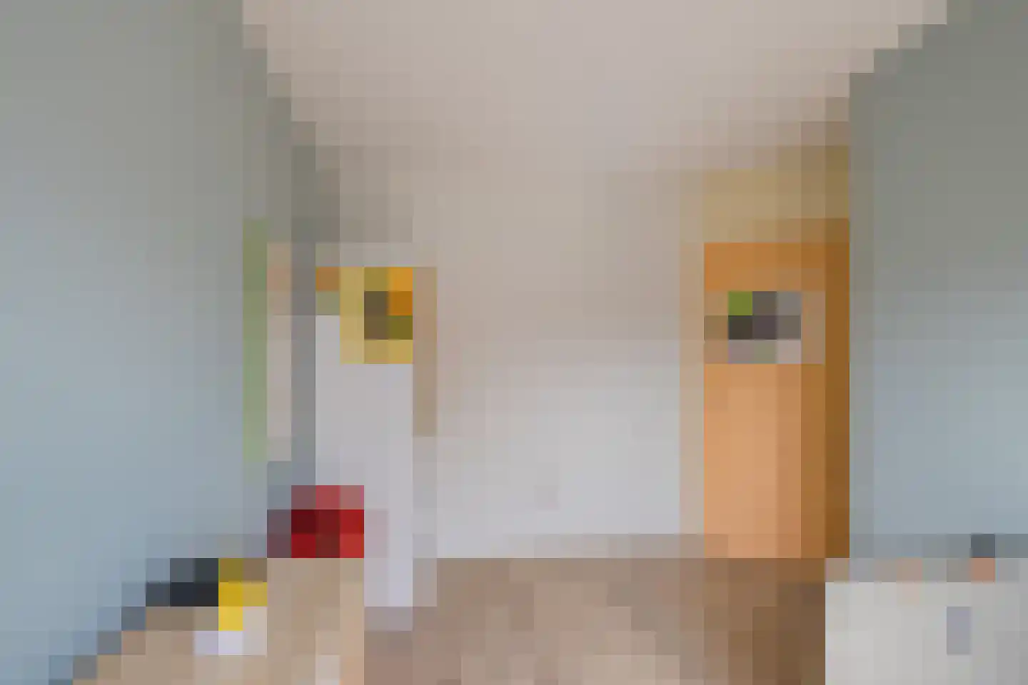 De Vliet 7 Velserbroek thumbnail 30