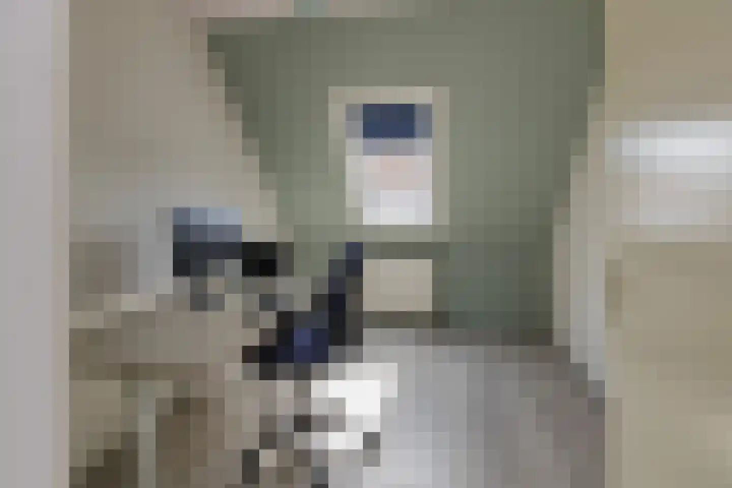 De Vliet 7 Velserbroek thumbnail 31
