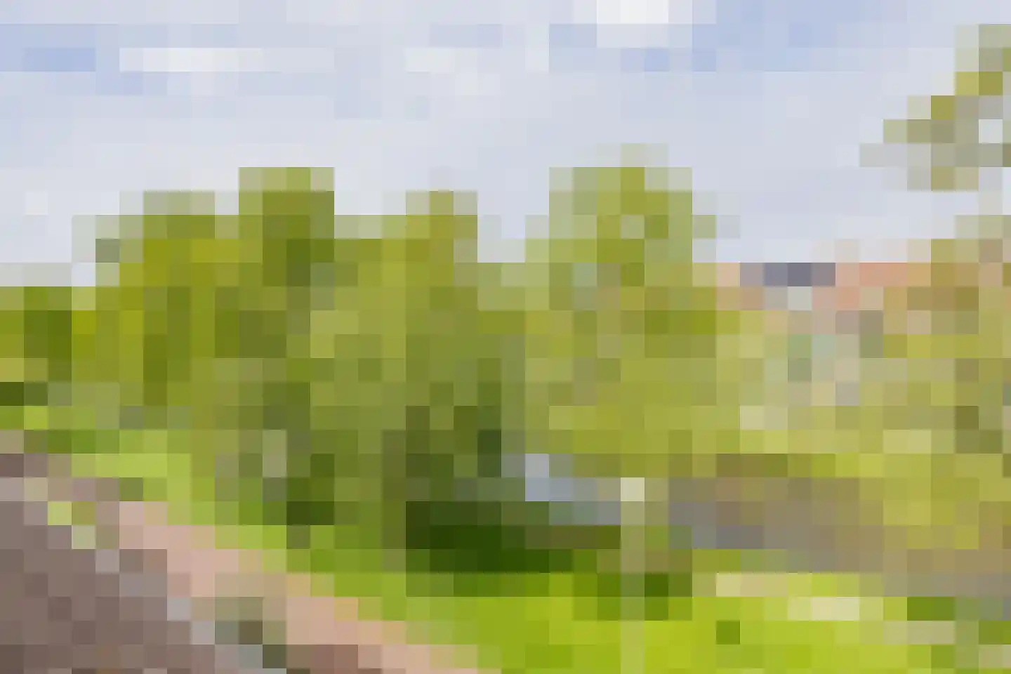 De Vliet 7 Velserbroek thumbnail 45