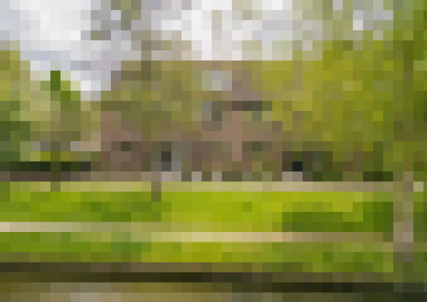 De Vliet 7 Velserbroek thumbnail 46