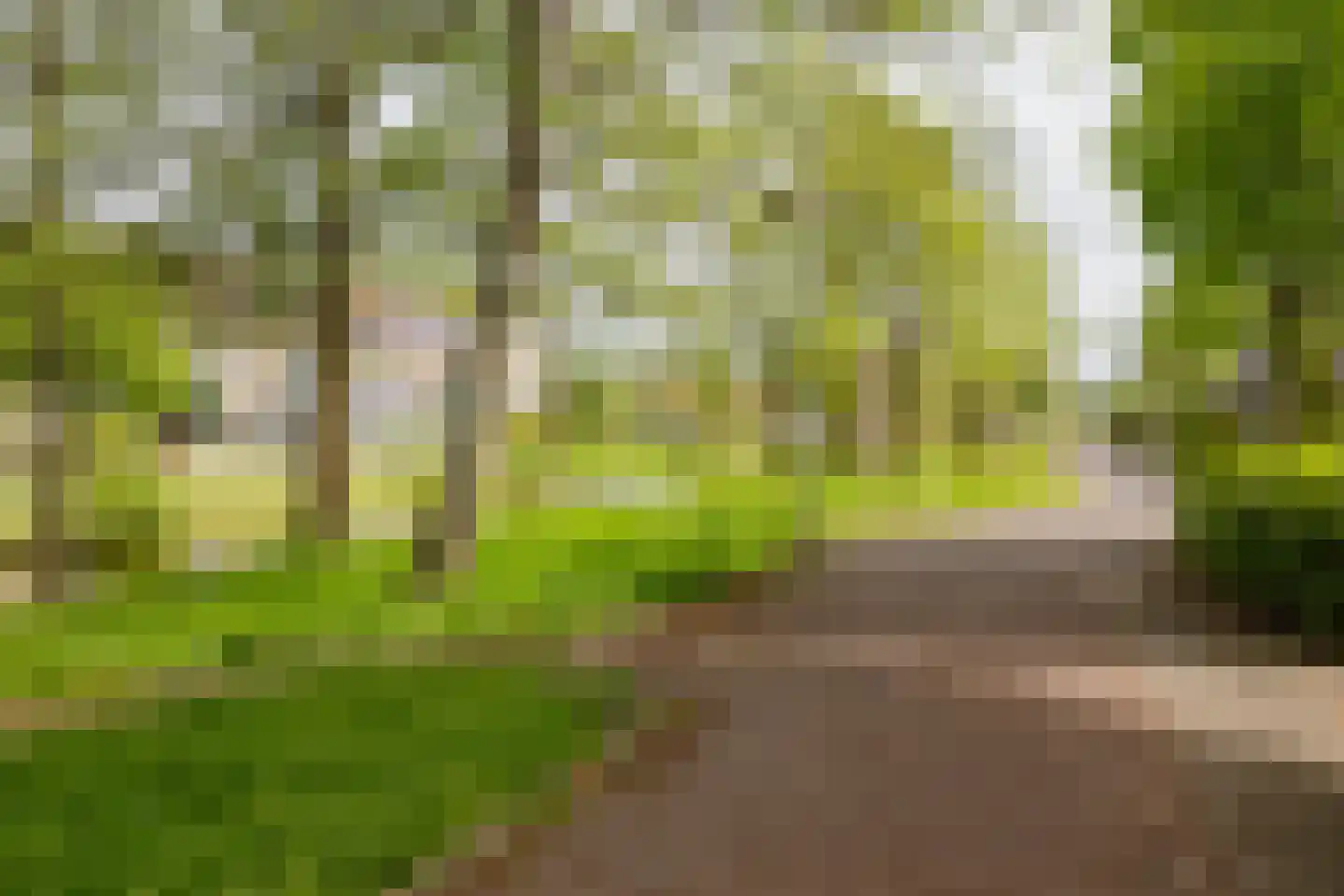 De Vliet 7 Velserbroek thumbnail 7