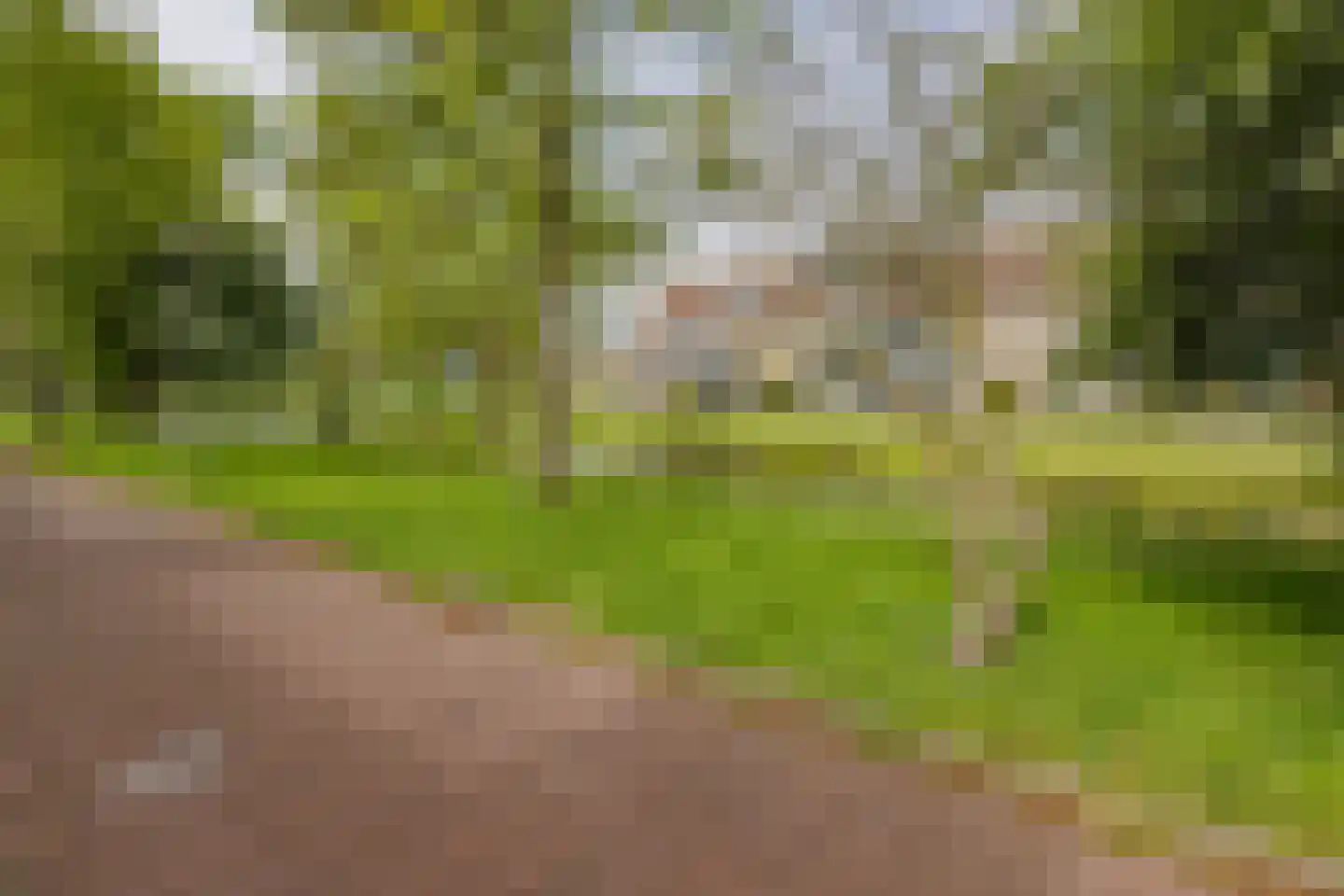 De Vliet 7 Velserbroek thumbnail 8