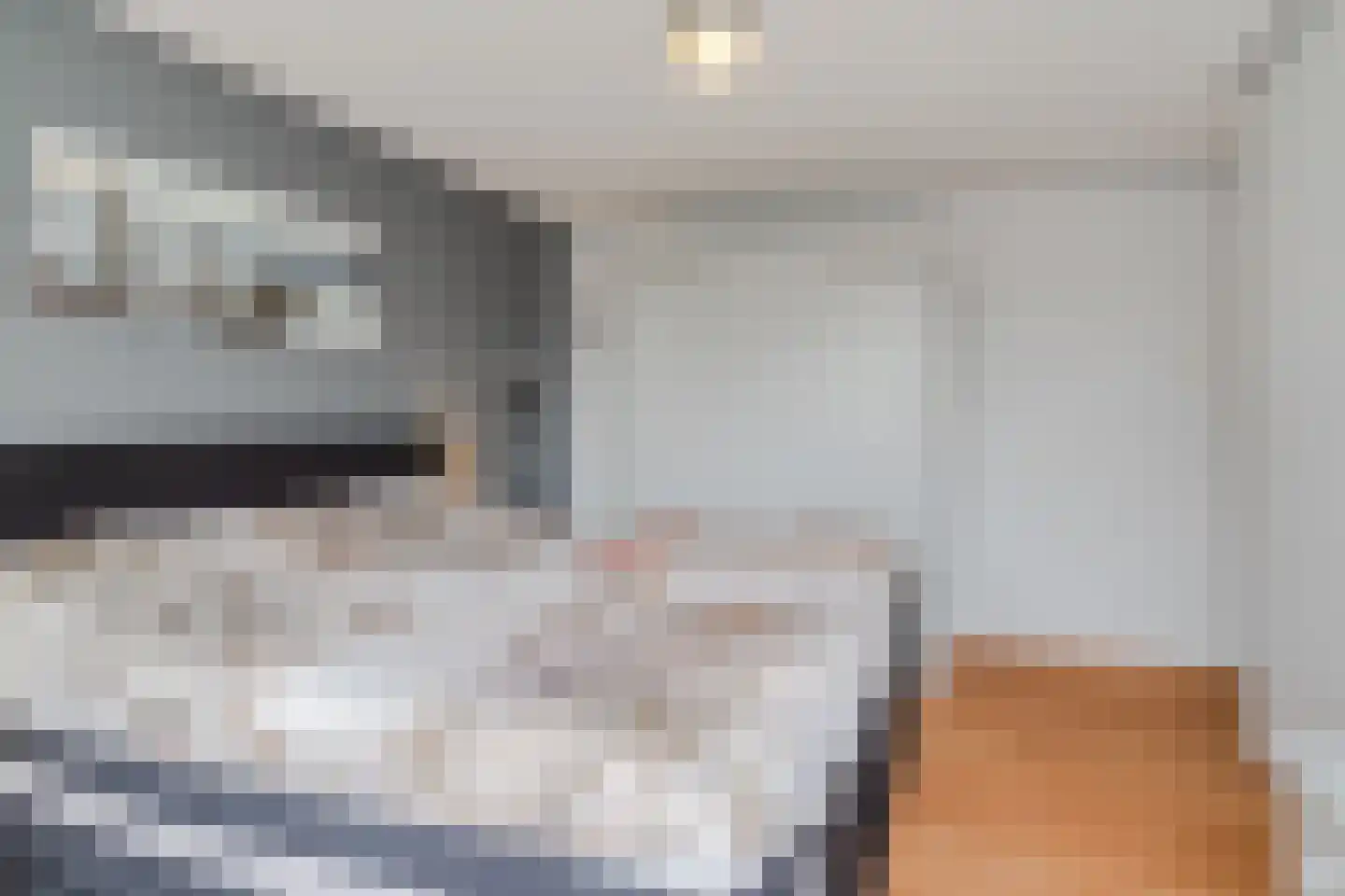 de Vlijt 23 Wijk en Aalburg thumbnail 17