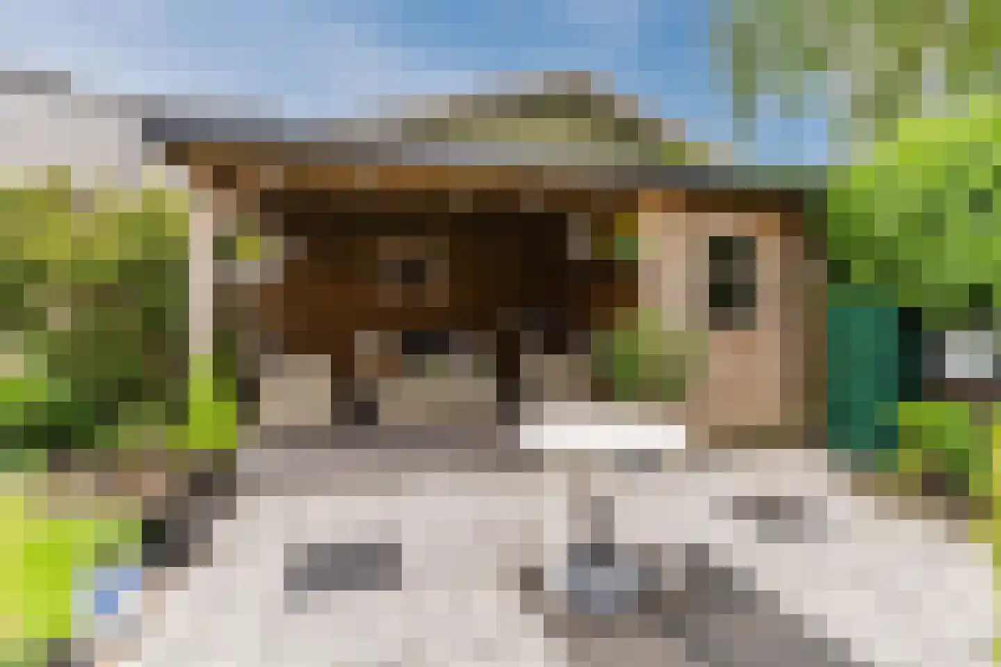 de Vlijt 23 Wijk en Aalburg thumbnail 33