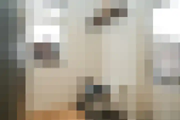 de Vlijt 82 Wijk en Aalburg thumbnail 13