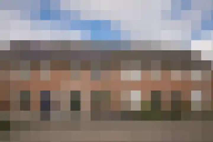 de Vlijt 82 Wijk en Aalburg thumbnail 31