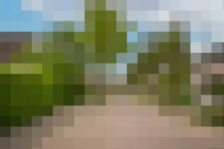 de Vlijt 82 Wijk en Aalburg thumbnail 32