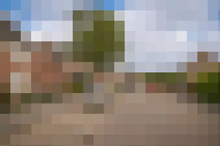 de Vlijt 82 Wijk en Aalburg thumbnail 34