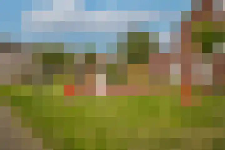 de Vlijt 82 Wijk en Aalburg thumbnail 35
