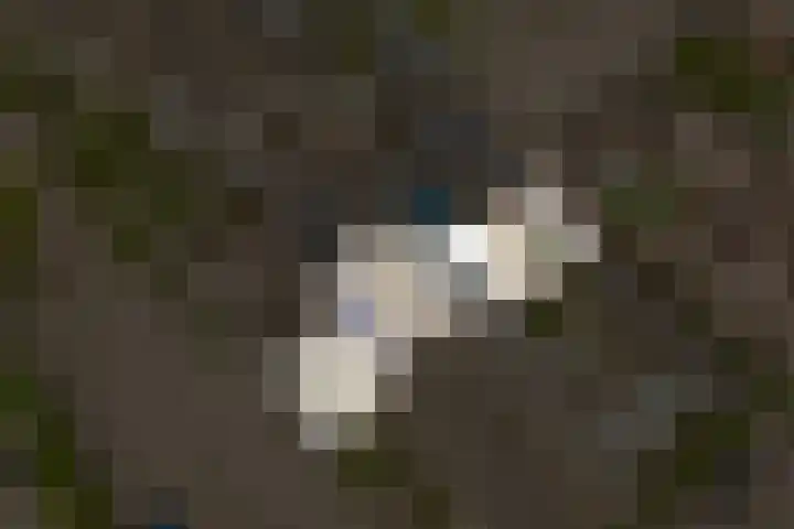 de Vlijt 82 Wijk en Aalburg thumbnail 36