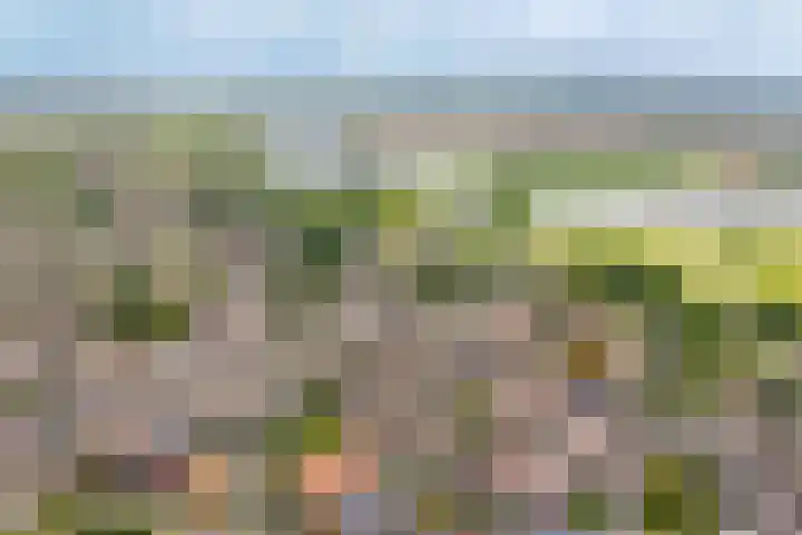 de Vlijt 82 Wijk en Aalburg thumbnail 37