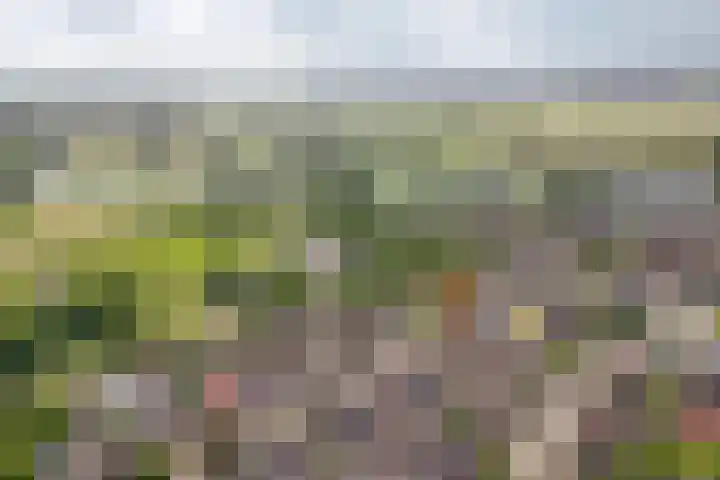 de Vlijt 82 Wijk en Aalburg thumbnail 39
