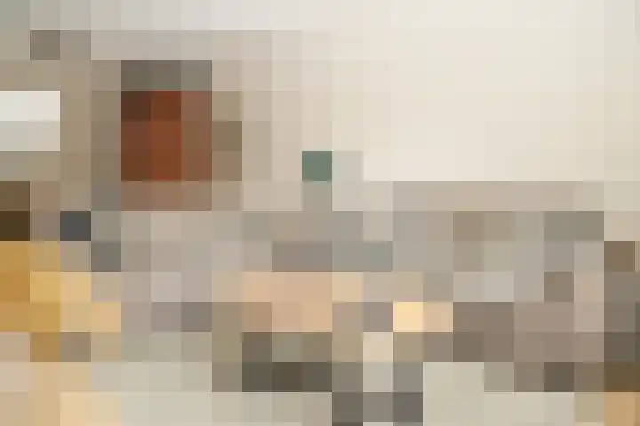 de Vlijt 82 Wijk en Aalburg thumbnail 8