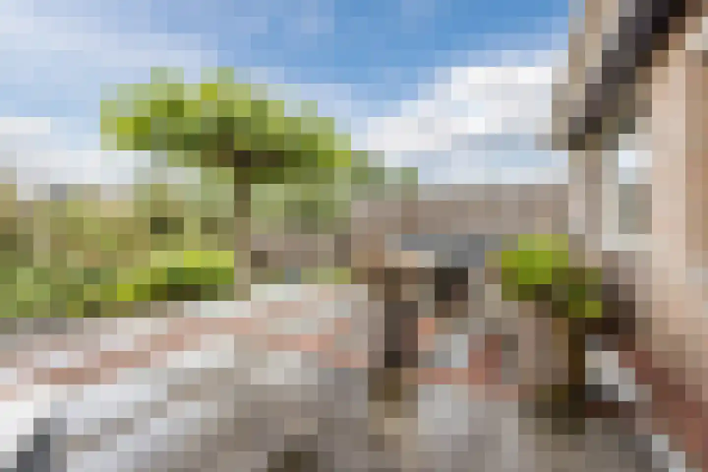 De Vlinderhoven 122 Schiedam thumbnail 14