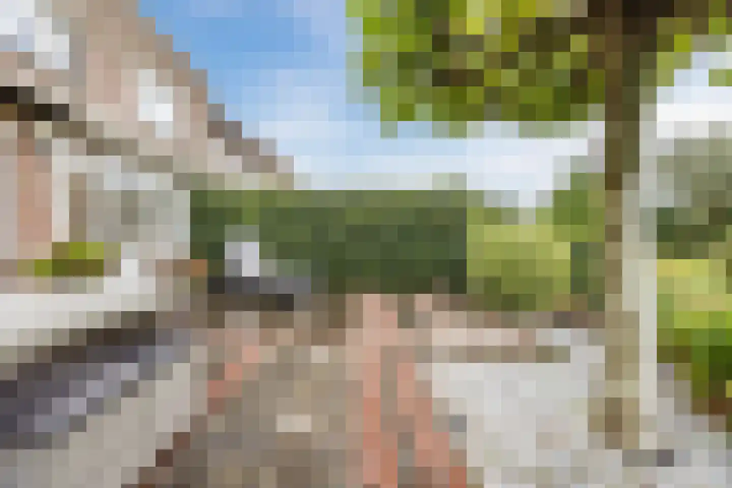 De Vlinderhoven 122 Schiedam thumbnail 15