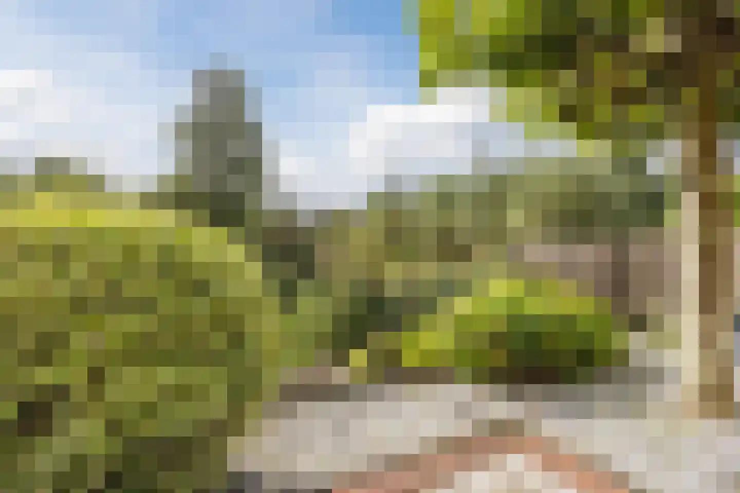 De Vlinderhoven 122 Schiedam thumbnail 17