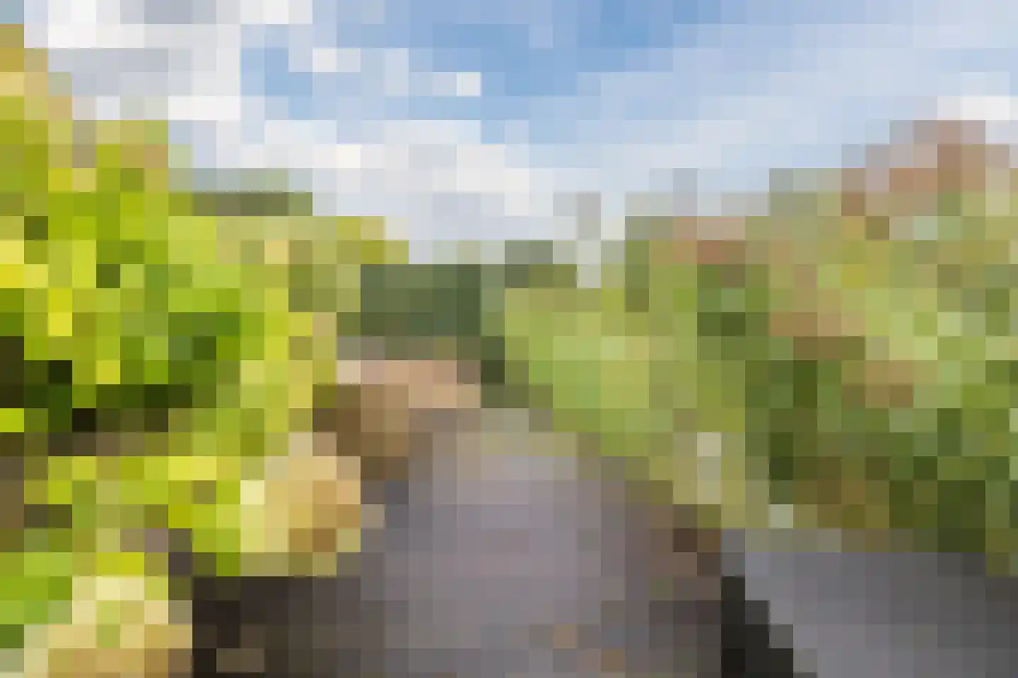 De Vlinderhoven 122 Schiedam thumbnail 18