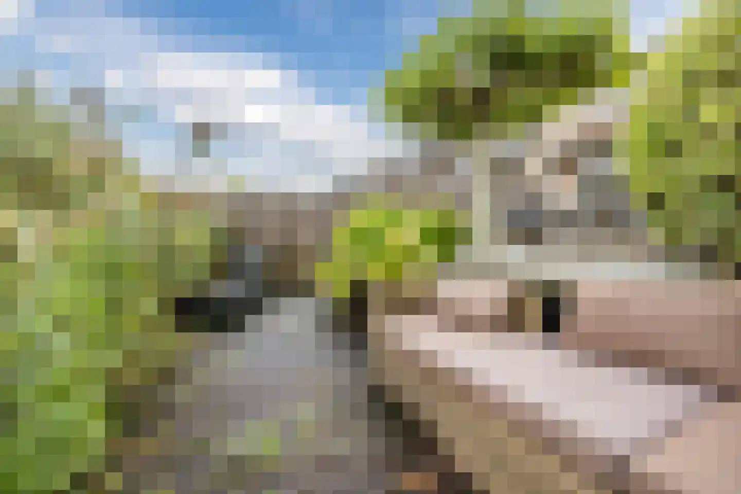 De Vlinderhoven 122 Schiedam thumbnail 19