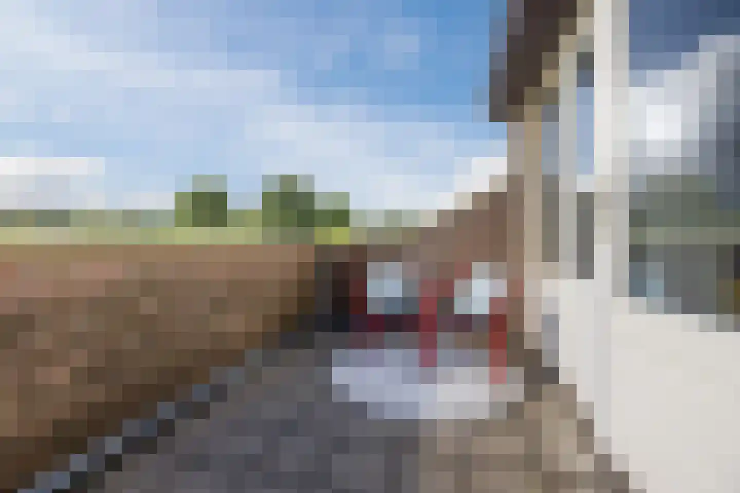 De Vlinderhoven 122 Schiedam thumbnail 39