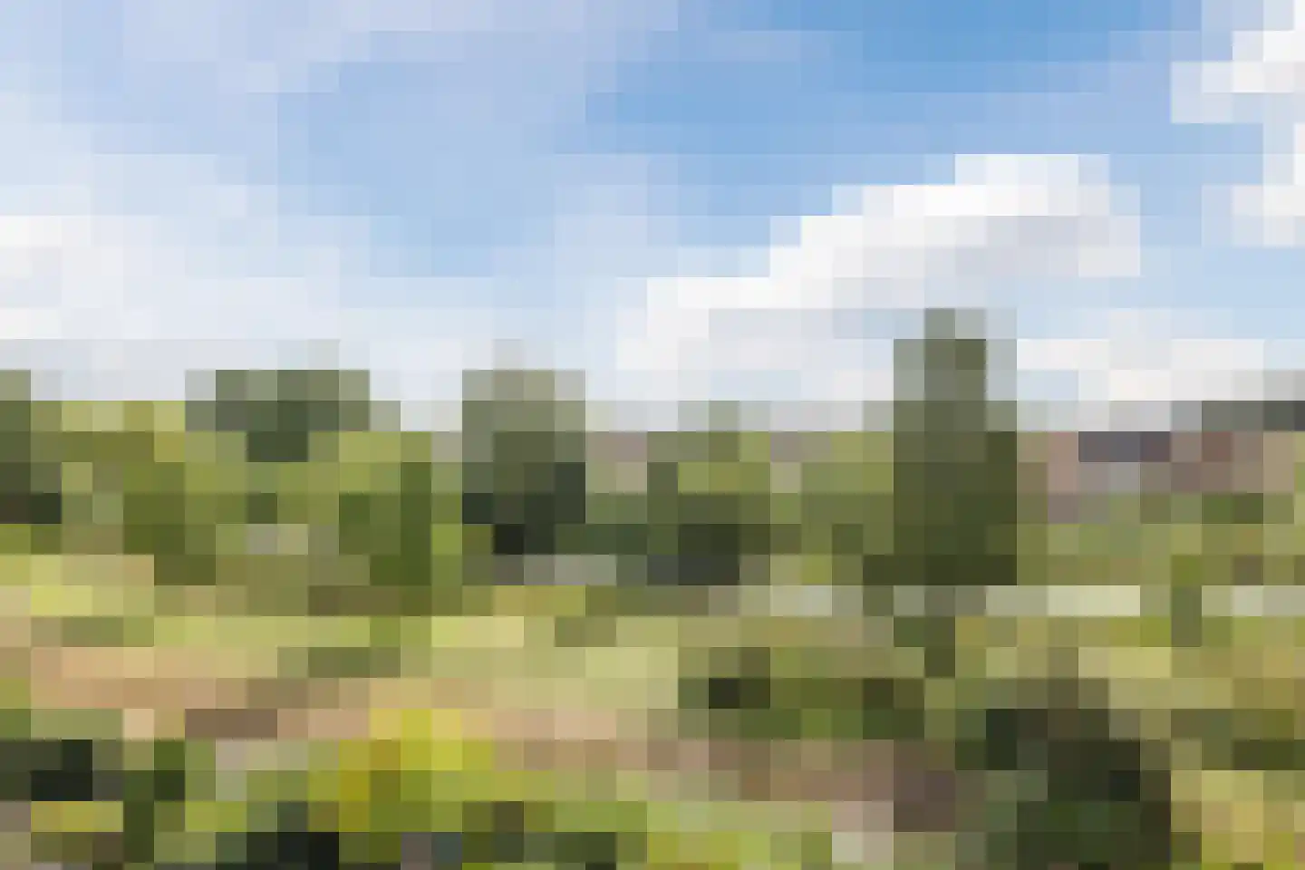 De Vlinderhoven 122 Schiedam thumbnail 40