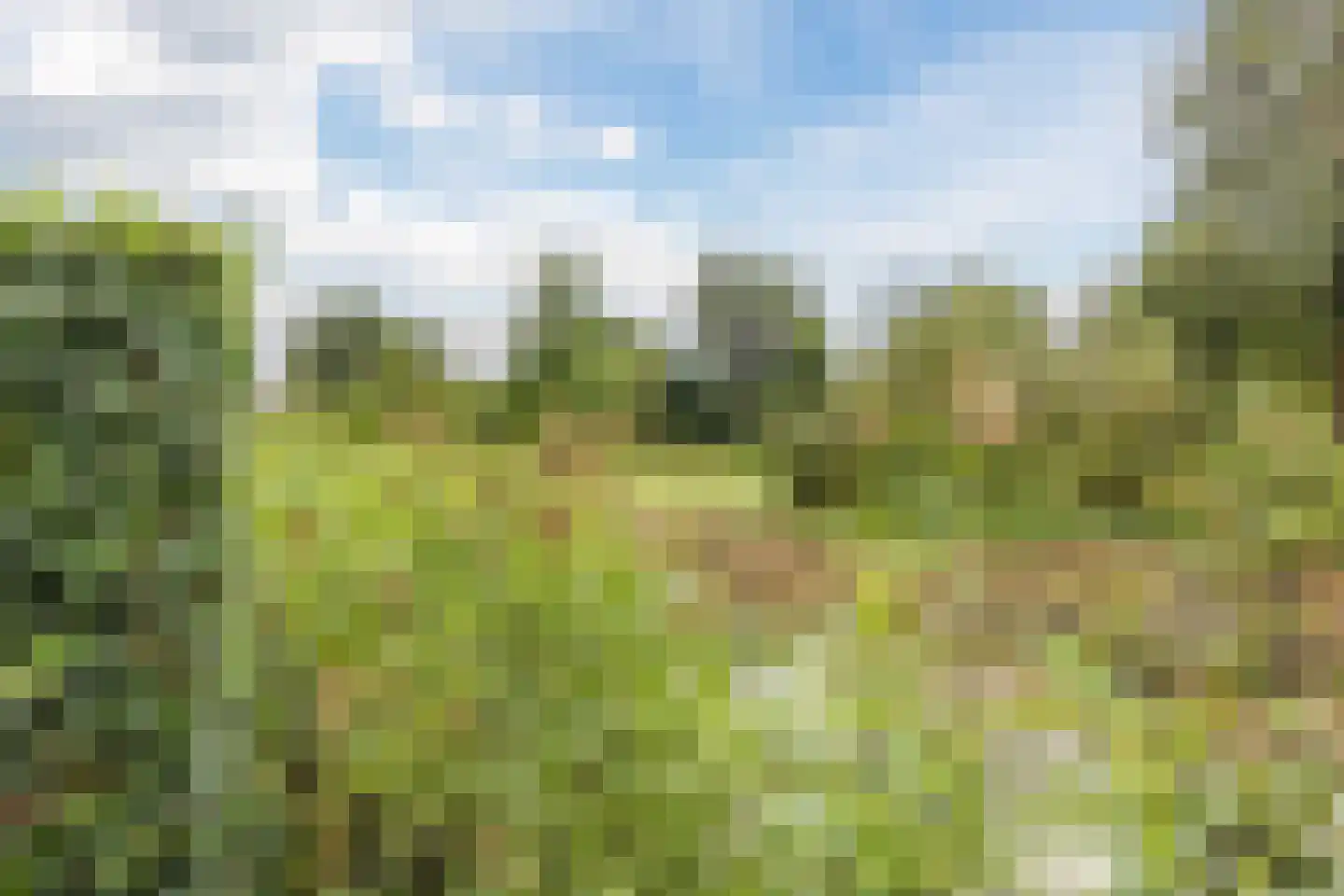 De Vlinderhoven 122 Schiedam thumbnail 46
