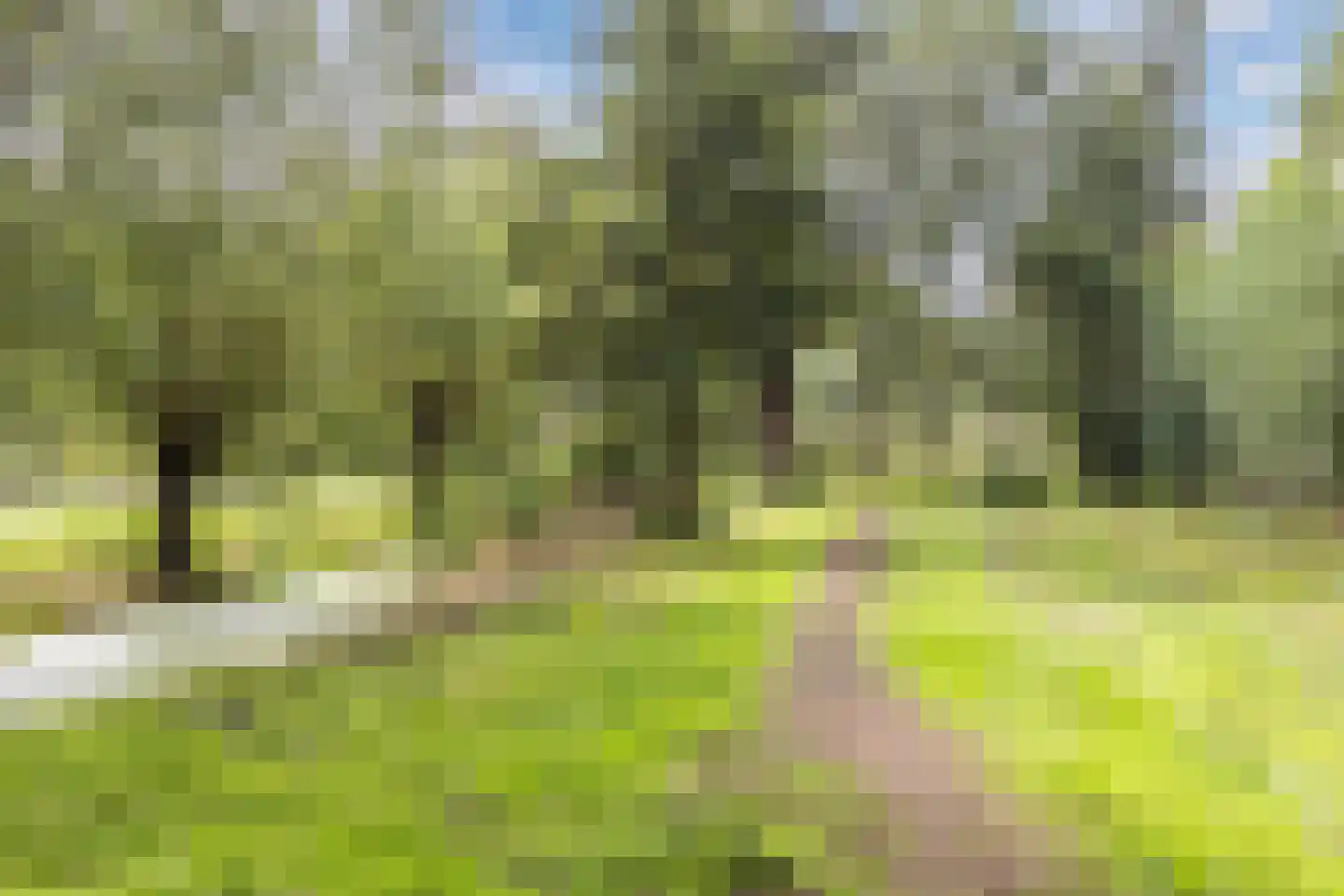 De Vlinderhoven 122 Schiedam thumbnail 47