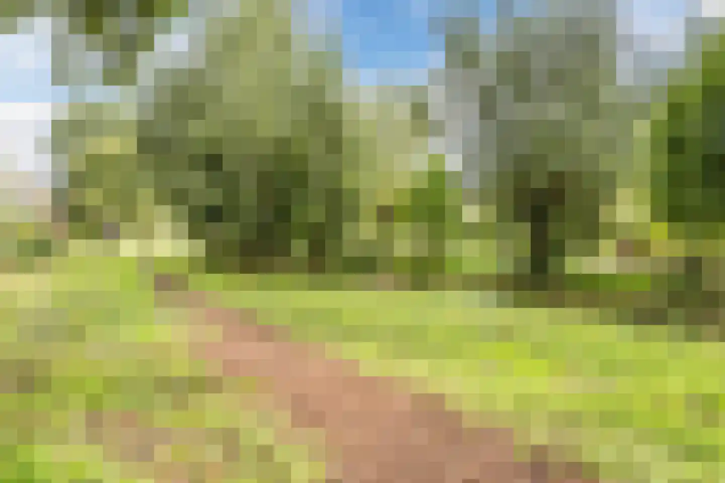 De Vlinderhoven 122 Schiedam thumbnail 48