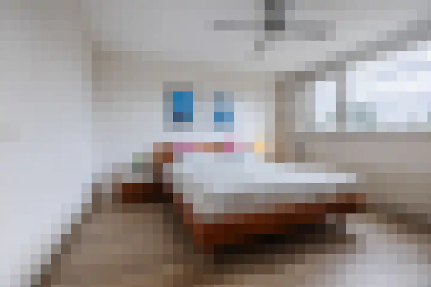 De Vlinderhoven 122 Schiedam thumbnail 8