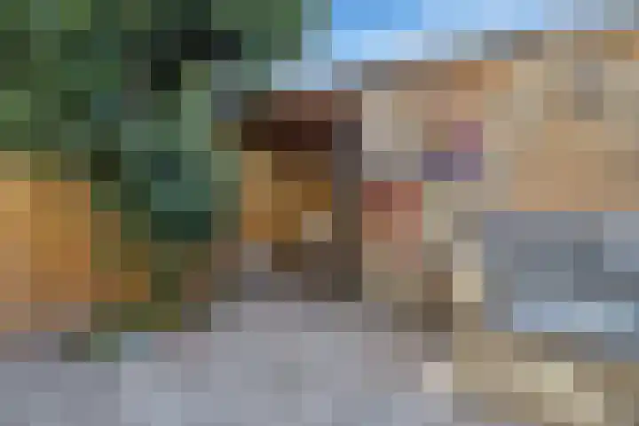 De Vlinderhoven 3 Schiedam thumbnail 12