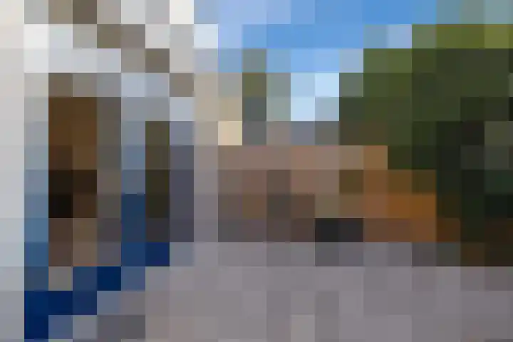 De Vlinderhoven 3 Schiedam thumbnail 15
