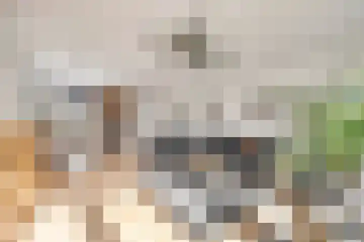De Vlinderhoven 3 Schiedam thumbnail 16