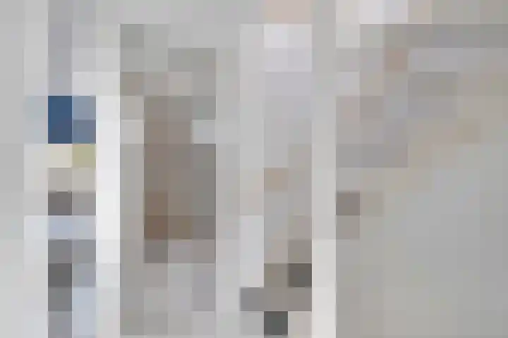 De Vlinderhoven 3 Schiedam thumbnail 20