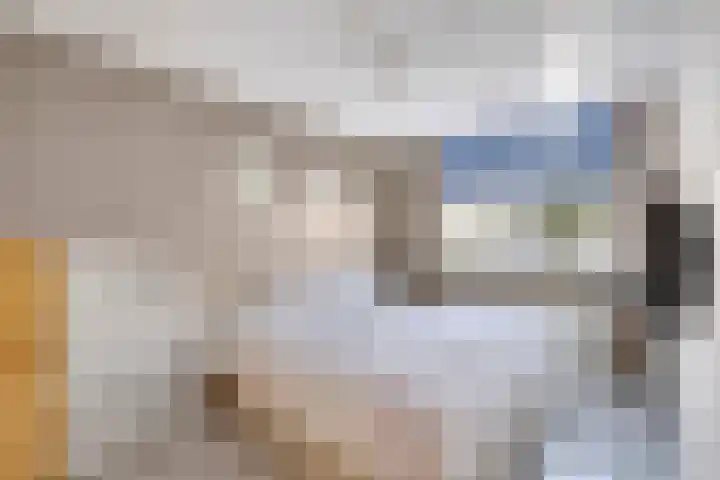 De Vlinderhoven 3 Schiedam thumbnail 21