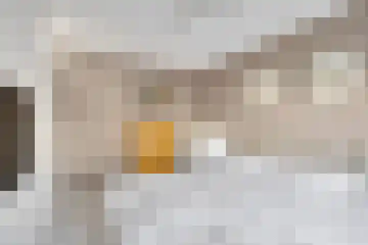 De Vlinderhoven 3 Schiedam thumbnail 22