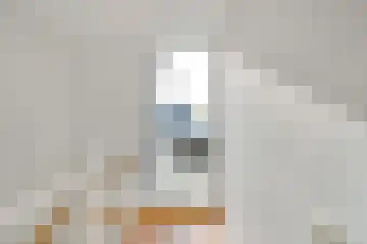 De Vlinderhoven 3 Schiedam thumbnail 27