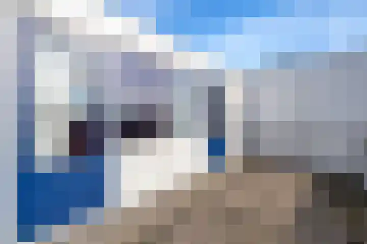 De Vlinderhoven 3 Schiedam thumbnail 32