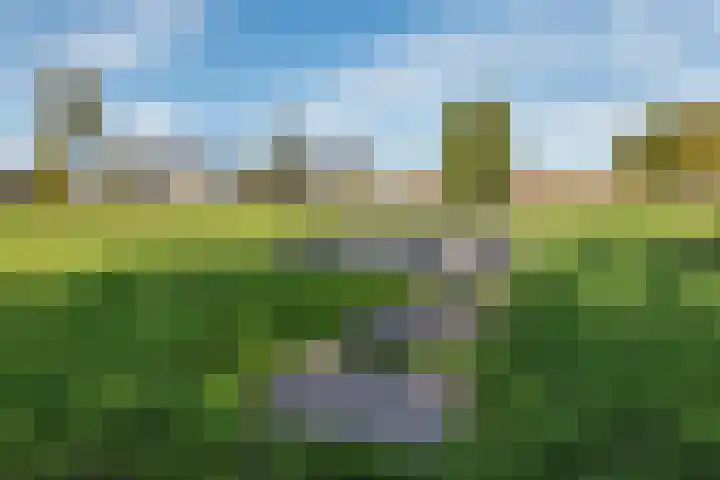 De Vlinderhoven 3 Schiedam thumbnail 37