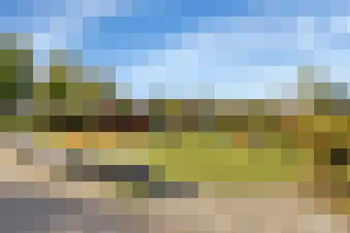 De Vlinderhoven 3 Schiedam thumbnail 38