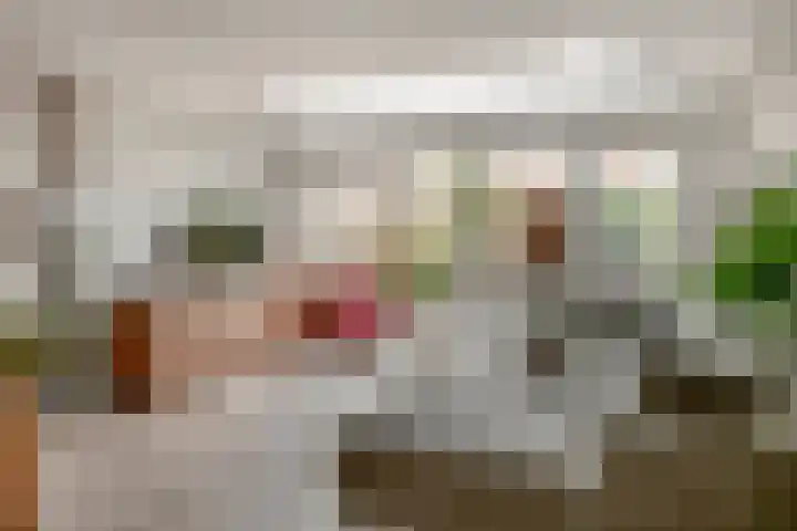 De Vlinderhoven 56 Schiedam thumbnail 10