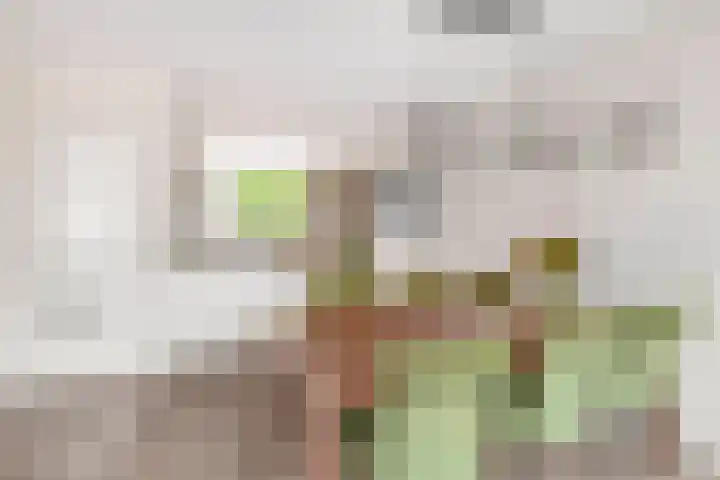 De Vlinderhoven 56 Schiedam thumbnail 14