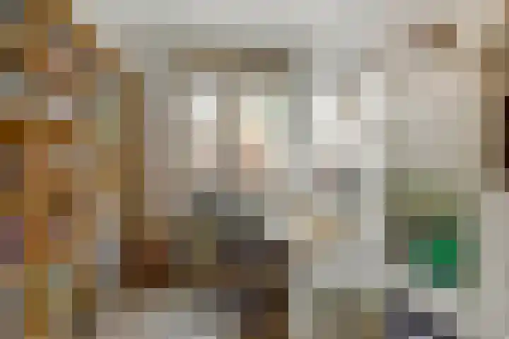 De Vlinderhoven 56 Schiedam thumbnail 33