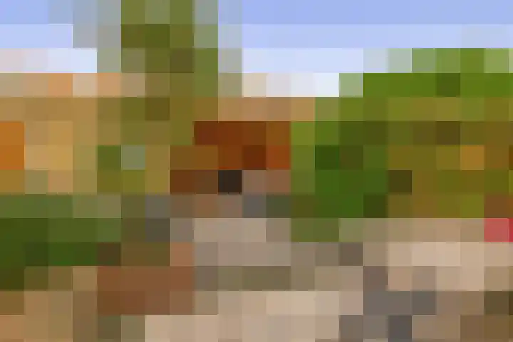 De Vlinderhoven 56 Schiedam thumbnail 4
