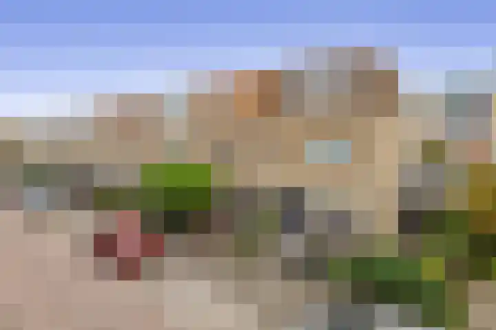 De Vlinderhoven 56 Schiedam thumbnail 42