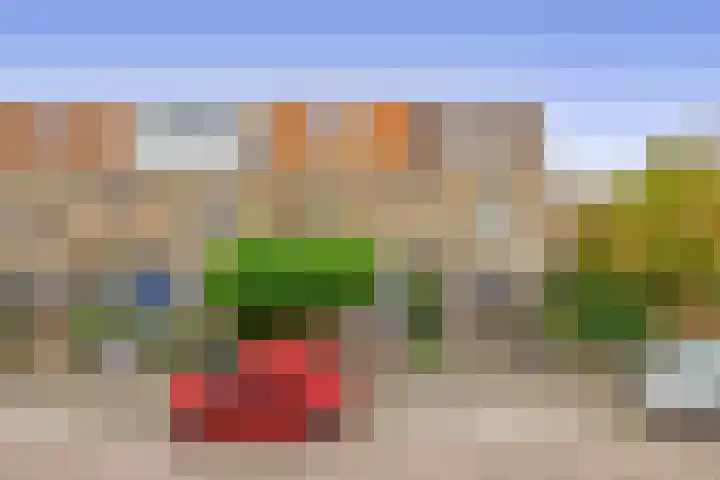 De Vlinderhoven 56 Schiedam thumbnail 5