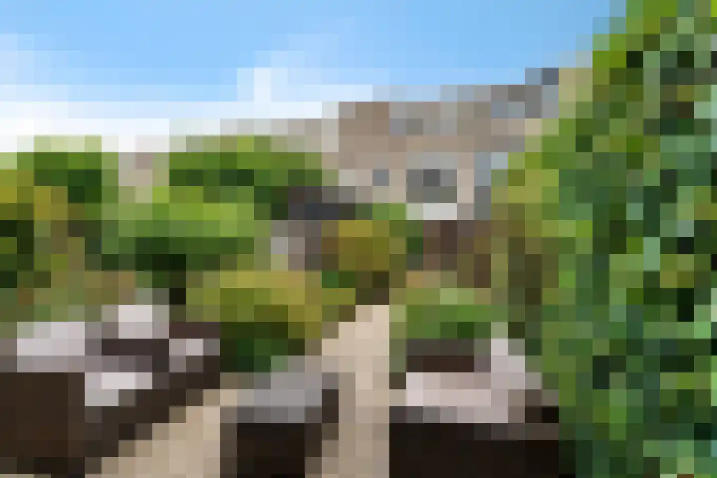 De Vlinderhoven 8 Schiedam thumbnail 17