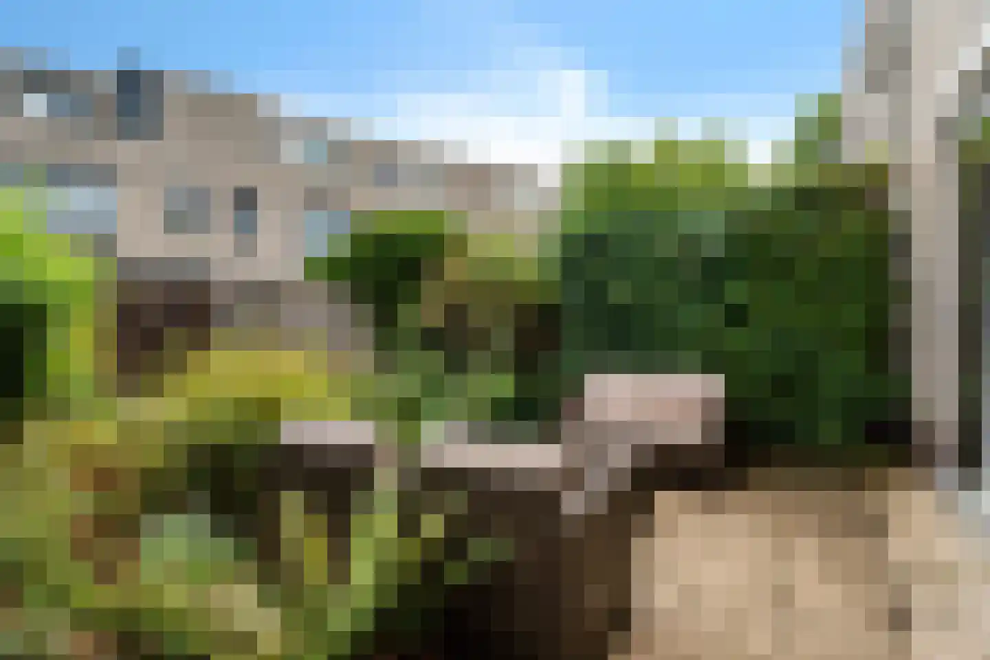 De Vlinderhoven 8 Schiedam thumbnail 18