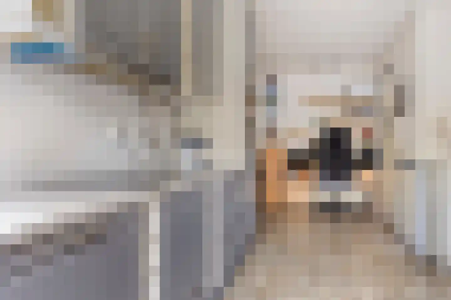 De Vloeivelden 2 Stadskanaal thumbnail 15