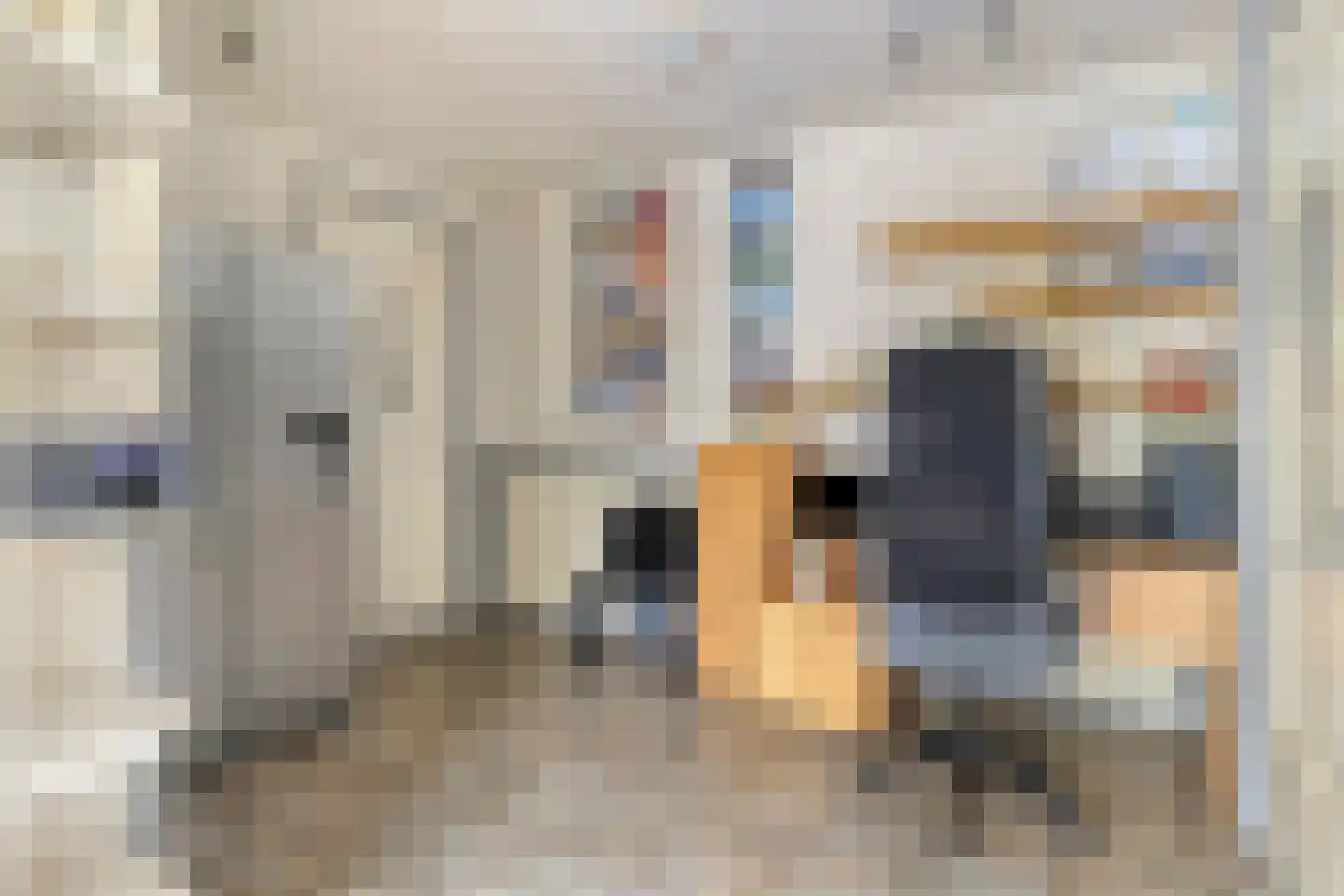 De Vloeivelden 2 Stadskanaal thumbnail 16