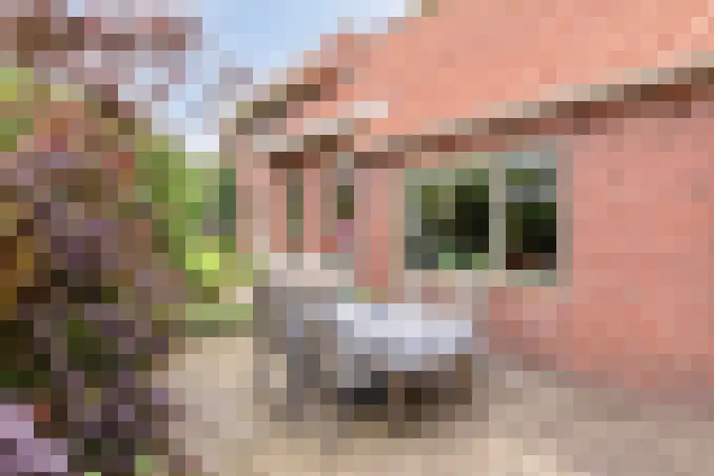 De Vloeivelden 2 Stadskanaal thumbnail 32