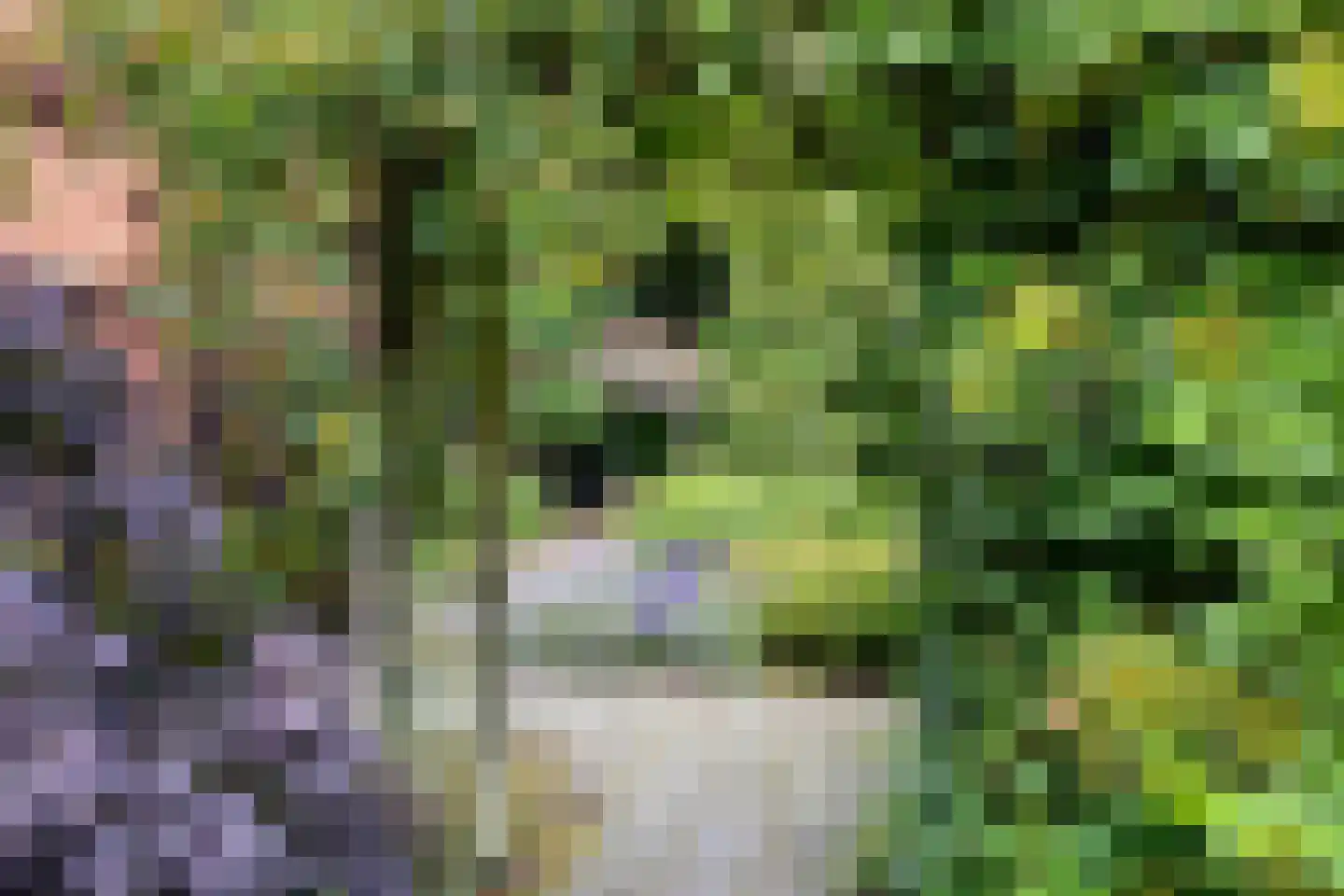 De Vloeivelden 2 Stadskanaal thumbnail 33